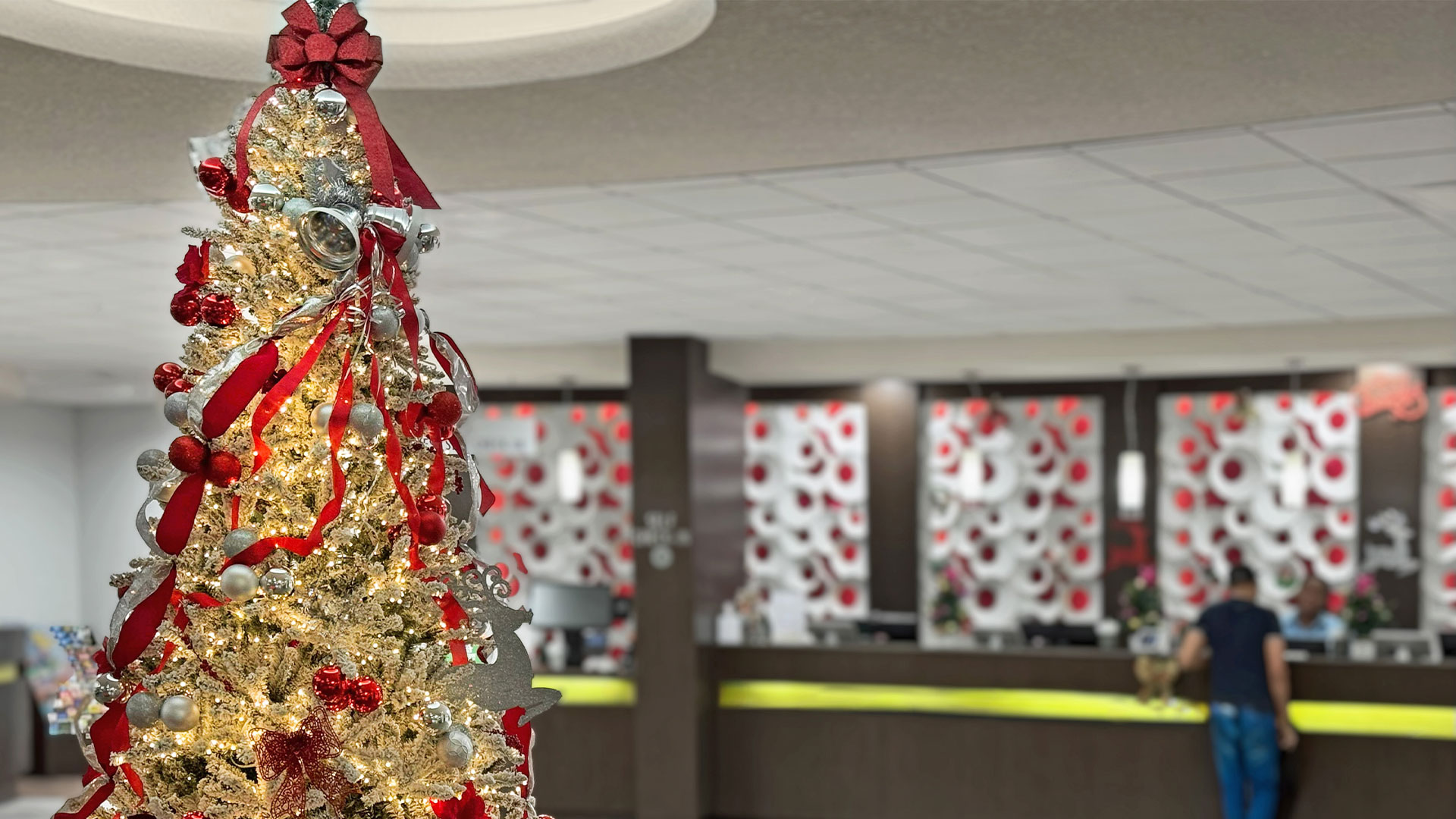 christmas tree in lobby